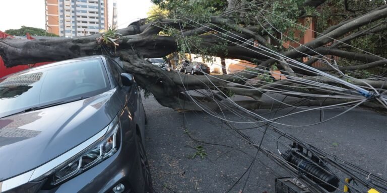 Cinco dias após ciclone, 30 mil clientes estão sem energia em SP