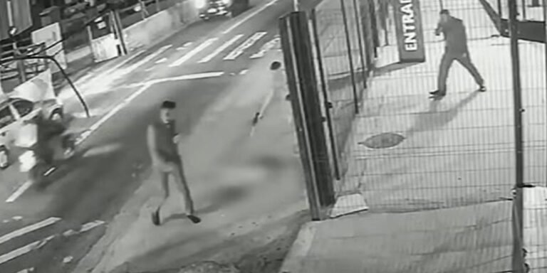 Cachorro é morto com dez tiros em frente a ponto de ônibus em SP