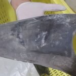 Ibama impõe regras mais rígidas para comércio de tubarão-azul