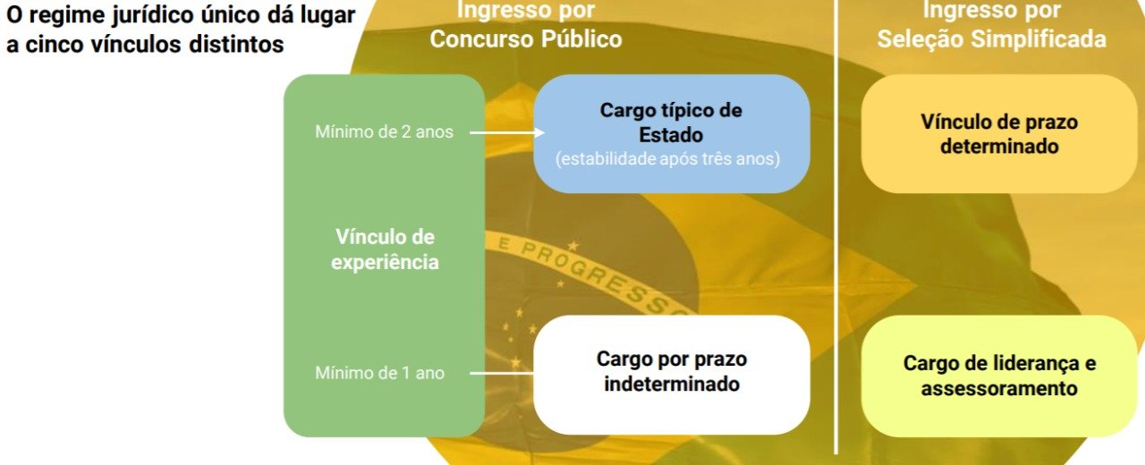 Criação de novos vínculos