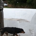 Iphan debate a realidade das mulheres na gestão do patrimônio cultural