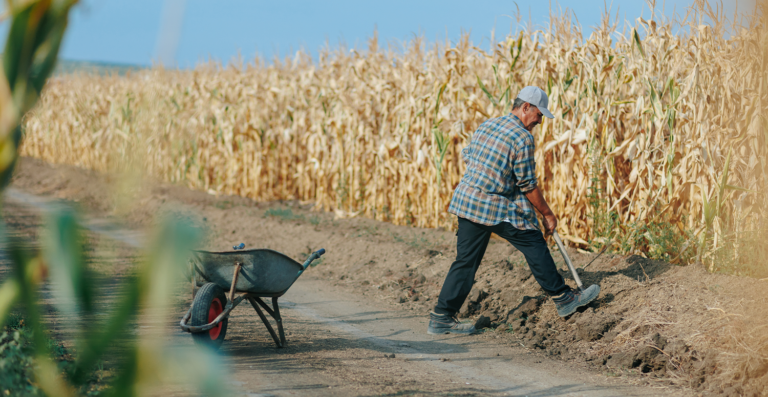 Trabalhadores rurais são isentos de multa para tempo de aposentadoria anterior a 1991