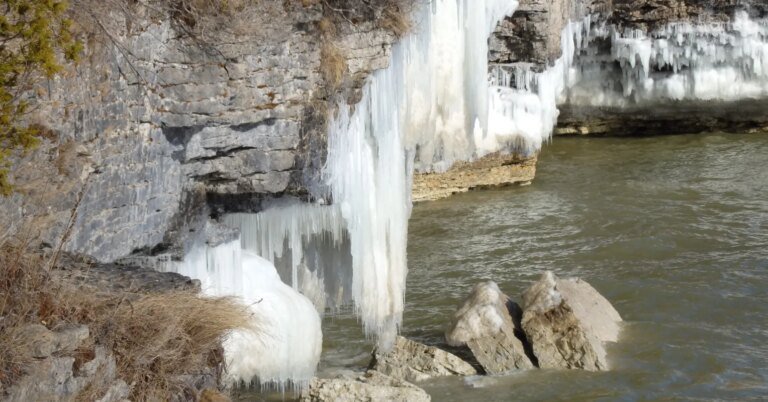 Os custos financeiros da esquizofrenia