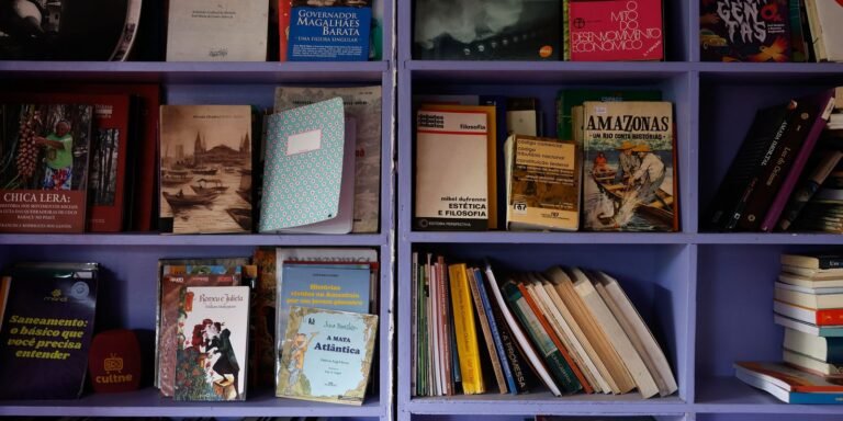 Venda de livros cresce no Brasil em 2025