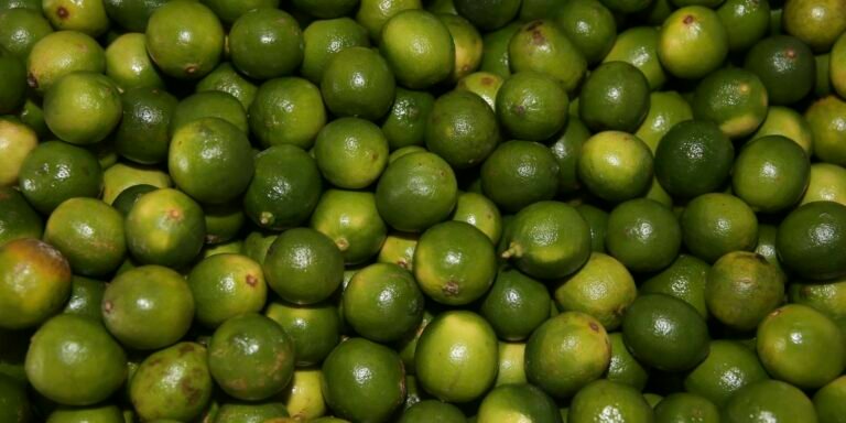 Suco de limão pode controlar nível de açúcar no sangue