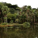 Viva Maria discute o papel do jornalismo na preservação ambiental