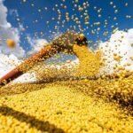 Chuvas favorecem produção de soja no Norte e Nordeste