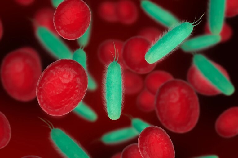 Anemia após os 60 anos eleva em 66% risco de demência, diz estudo