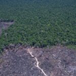 Desmatamento na Amazônia cai 17% no primeiro trimestre de 2026
