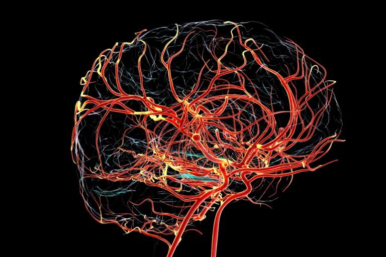 Estudo da Fiocruz investiga mutação por trás da epilepsia