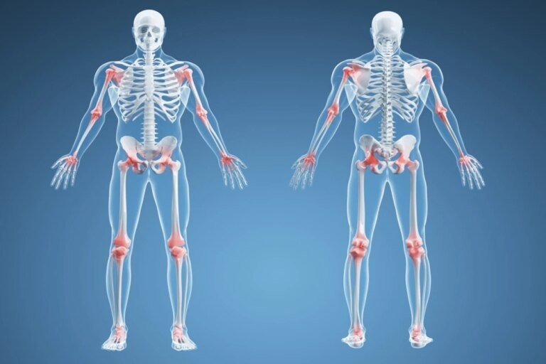Descobertas mostram que a anatomia humana não é um campo fechado