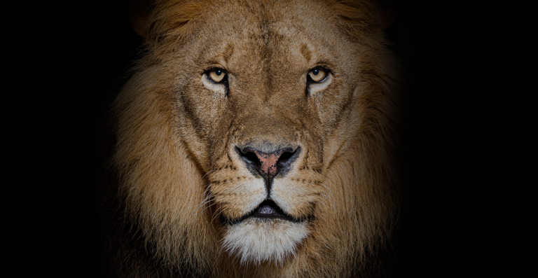 saiba quais despesas podem ser deduzidas