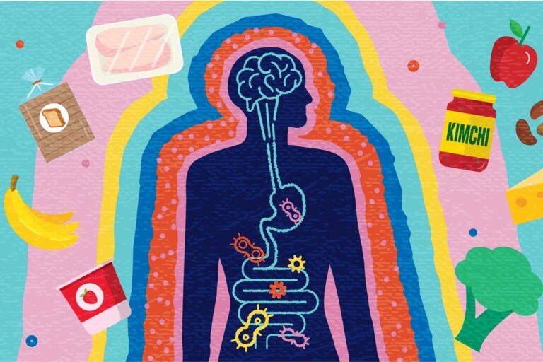 Coloproctologista explica como o intestino pode influenciar o humor