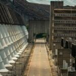 Itaipu compra menos de 25% das terras prometidas ao povo Avá-Guarani