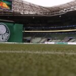 Palmeiras segue imbatível no Campeonato Brasileiro