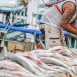 Cesta de Páscoa cai 5,73% neste ano, diz FGV