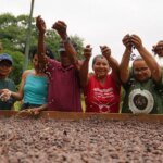No Amazonas, associação de mulheres produz chocolate orgânico
