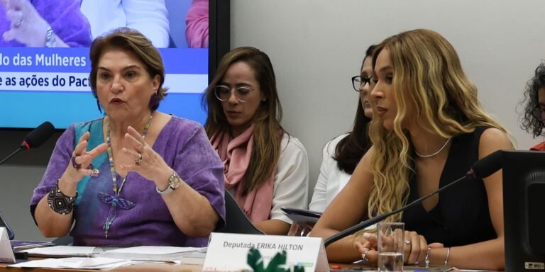 Na Câmara, Márcia Lopes debate escalada de violência contra a mulher