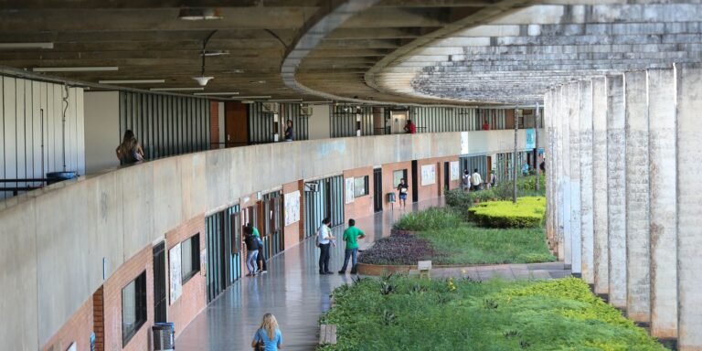 Matrículas no ensino superior dobraram desde a virada do milênio