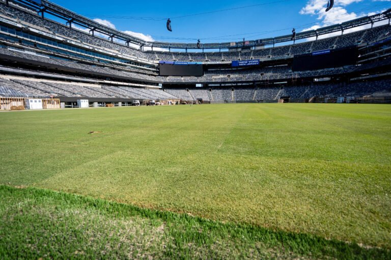 Grama natural é instalada no estádio da final da Copa – 08/05/2026 – Esporte
