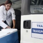 Brasil bate recorde e realiza mais de 30 mil transplantes em 2025