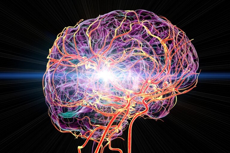 Molécula anti-inflamatória mostra potencial contra Parkinson