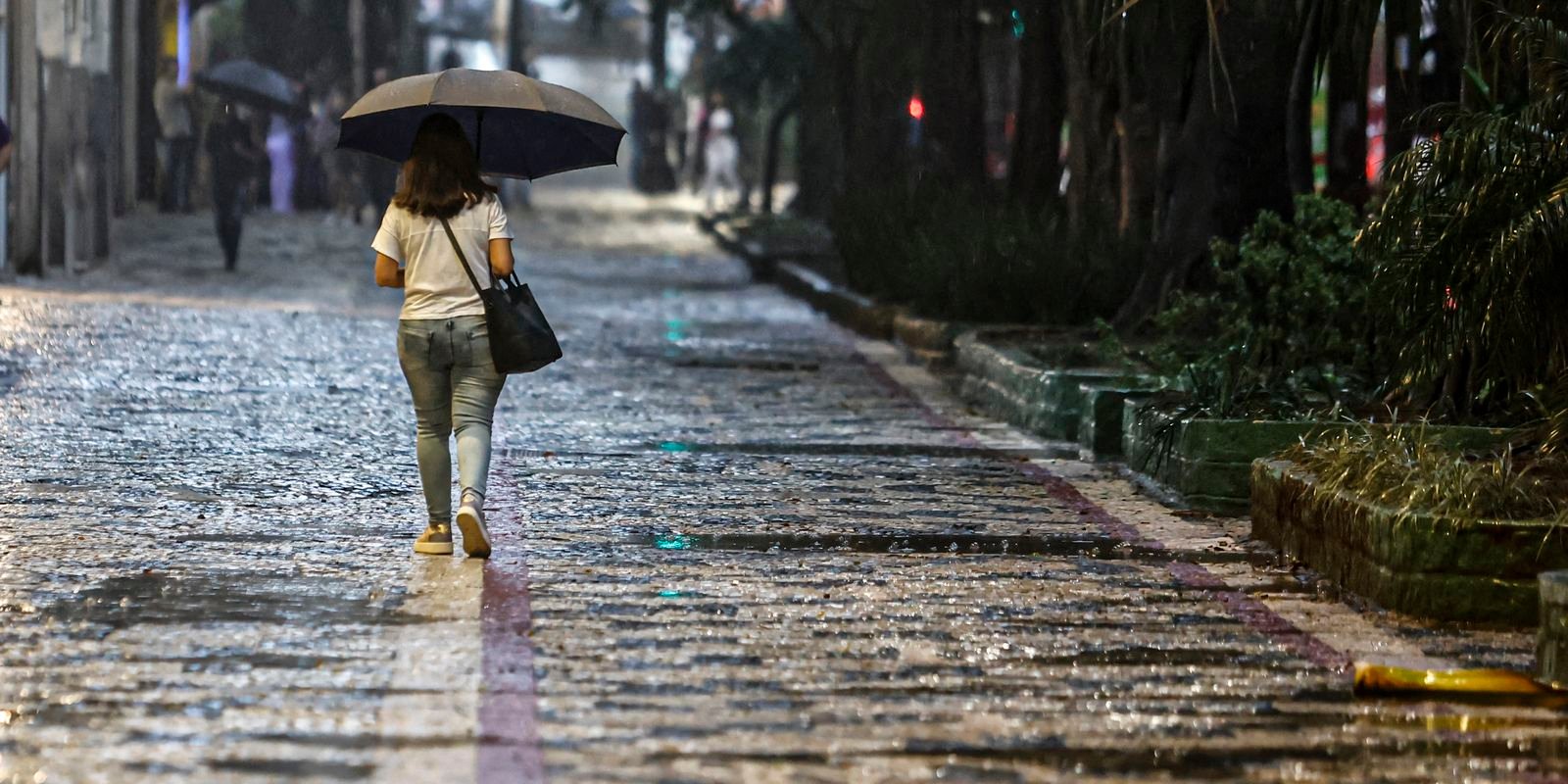 Terça e quarta devem ser chuvosas na região Norte, aponta Inmet