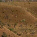 MapBiomas: fragmentação de áreas naturais triplicou em 40 anos no país