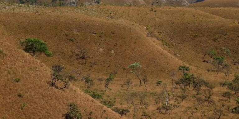 MapBiomas: fragmentação de áreas naturais triplicou em 40 anos no país