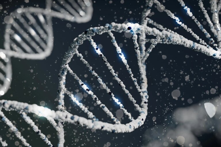 APOE2: gene pode ajudar a reparar o DNA e adiar o envelhecimento