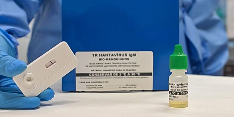 Brasil não tem circulação do hantavírus que causou surto em navio