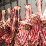 União Europeia anuncia proibição de importação de carne brasileira