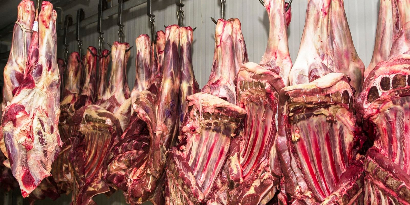 União Europeia anuncia proibição de importação de carne brasileira