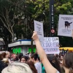 MP de Santa Catarina pede arquivamento do caso Orelha