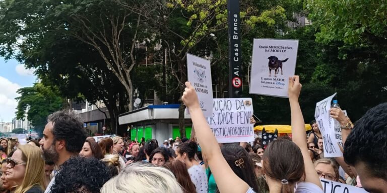 MP de Santa Catarina pede arquivamento do caso Orelha