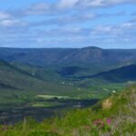 Rio Grande do Norte cria nova unidade de conservação da Caatinga