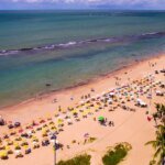 Pernambuco volta a monitorar tubarões na orla após 10 anos