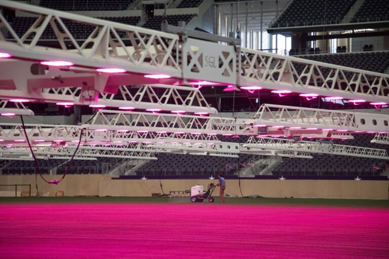A busca científica pelo gramado perfeito para a Copa – 20/06/2026 – Esporte