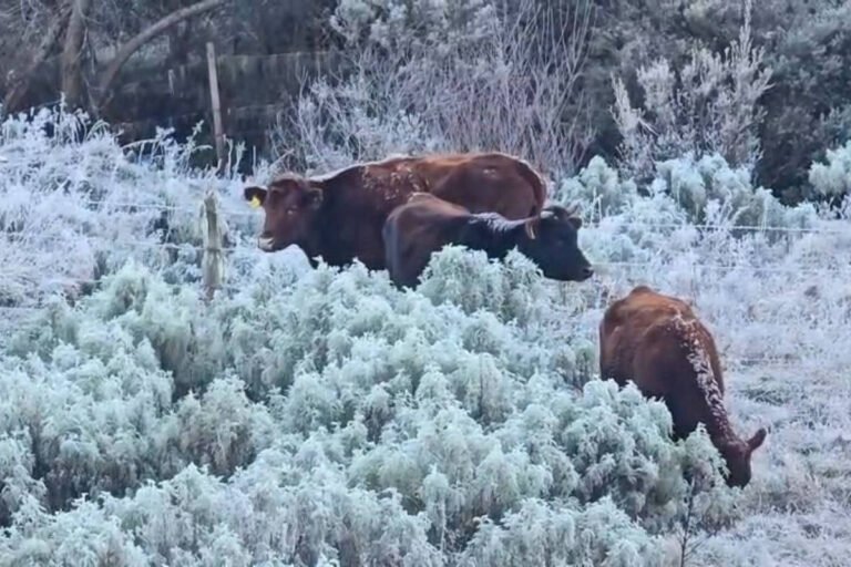 Frio em trilhas: saiba como evitar a hipotermia – 24/06/2026 – É Logo Ali
