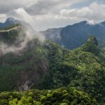 Dois caçadores são presos em flagrante no Parque Nacional da Tijuca