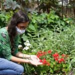 Viva Maria fala sobre plantas medicinais e autocuidado