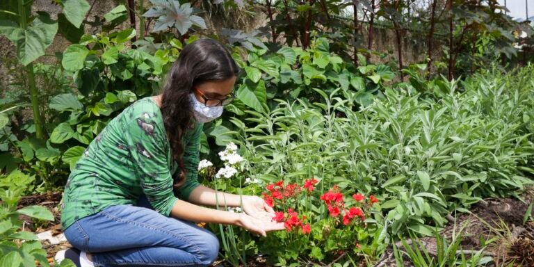 Viva Maria fala sobre plantas medicinais e autocuidado