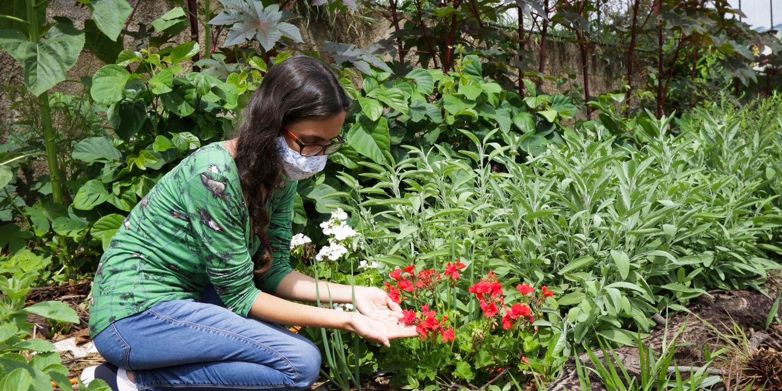 Viva Maria fala sobre plantas medicinais e autocuidado
