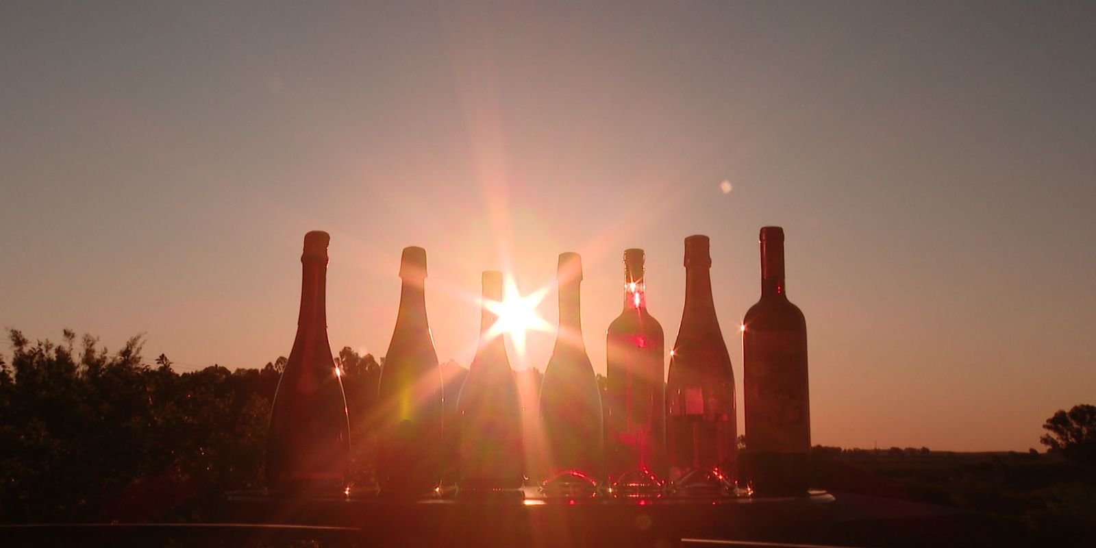 Trump ameaça França com tarifa de 100% sobre vinhos e champanhes