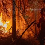 MP libera mais de R$ 337 milhões para combate a incêndios florestais