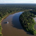 Reino Unido se torna o segundo maior doador do Fundo Amazônia