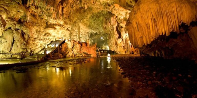Estudo vai avaliar impacto do turismo na fauna de cavernas