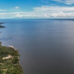 Dia do Meio Ambiente reforça importância de ações sustentáveis no país