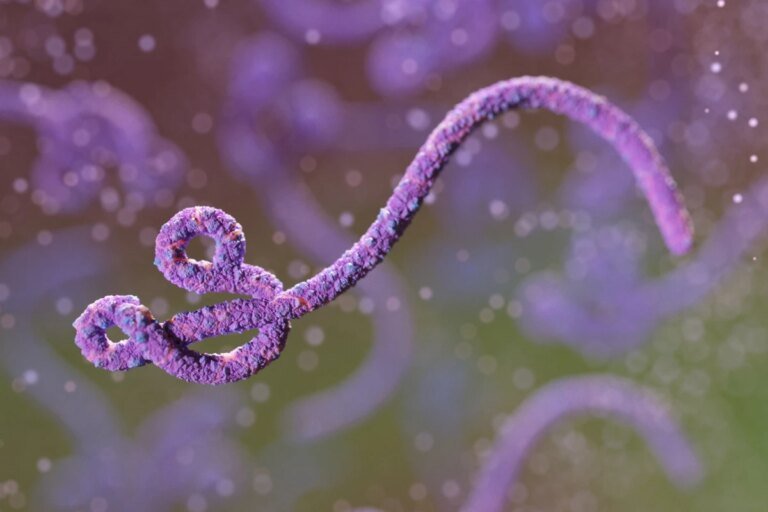 Ebola já soma 263 casos confirmados e 43 mortes, alerta União Africana