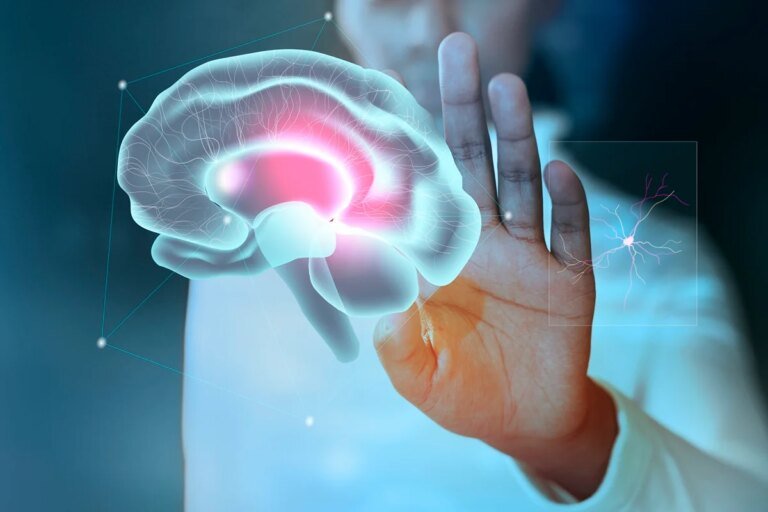 Vitamina B3 pode ajudar no tratamento de câncer cerebral agressivo